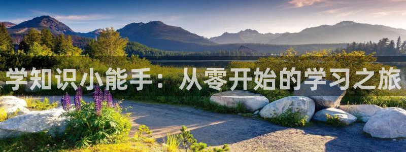 牛眼看书新网站：学知识小能手：从零开始的学习之旅